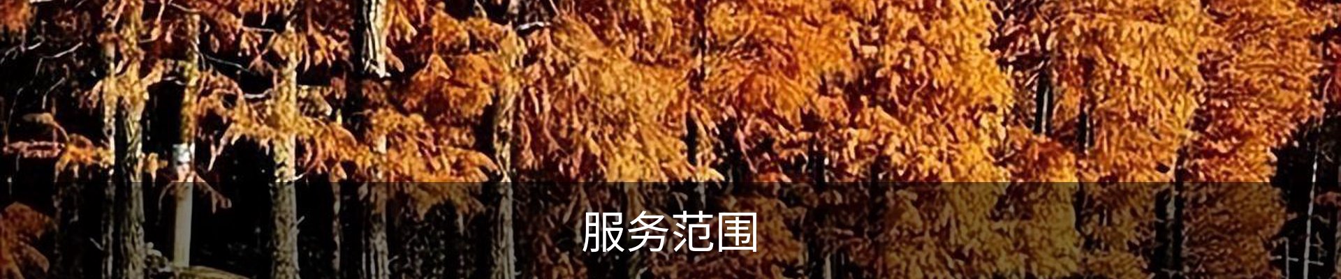 服务范围